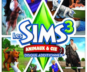 Jeux de fille : correctifs des Sims 3 pour une bonne année !