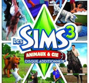 Jeux de fille : correctifs des Sims 3 pour une bonne année !